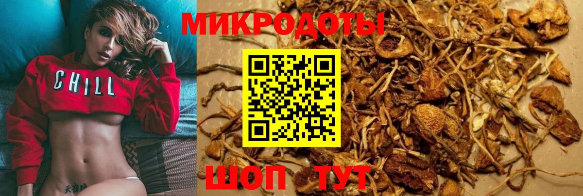 Светлоград  Галлюциногенные грибы мицелий  Вход с VPN 